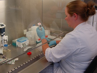 PCR-test