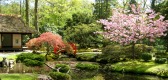 Japanse Tuin